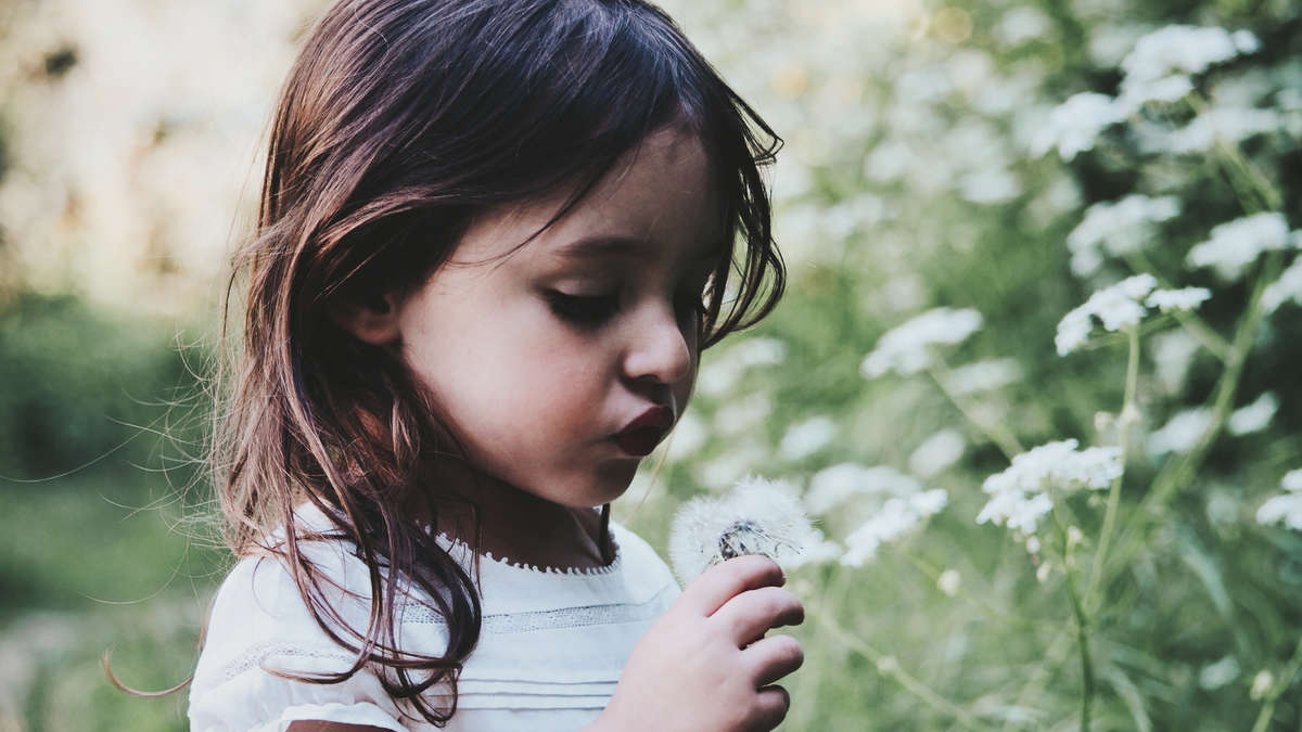 Ein kleines Mädchen, dass eine Pusteblume in der Hand hält und pusten möchte Ein kleines Mädchen, dass eine Pusteblume in der Hand hält und pusten möchte